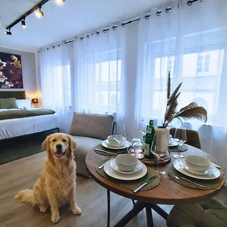 Elapart By Homely - Moderne Direkt Im Stadtzentrum Mit Self-check-in * Bad Kissingen