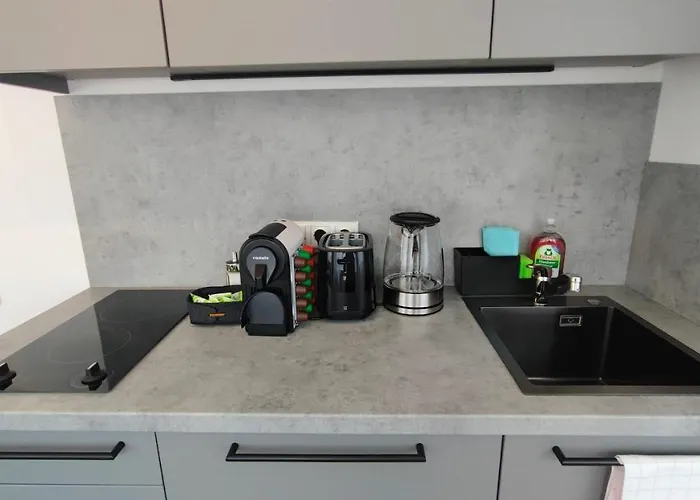 Apartment Elapart By Homely - Moderne Direkt Im Stadtzentrum Mit Self-check-in Bad Kissingen